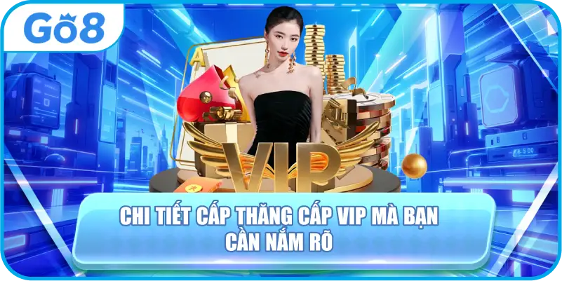 Chi tiết cấp thăng cấp VIP mà bạn cần nắm rõ